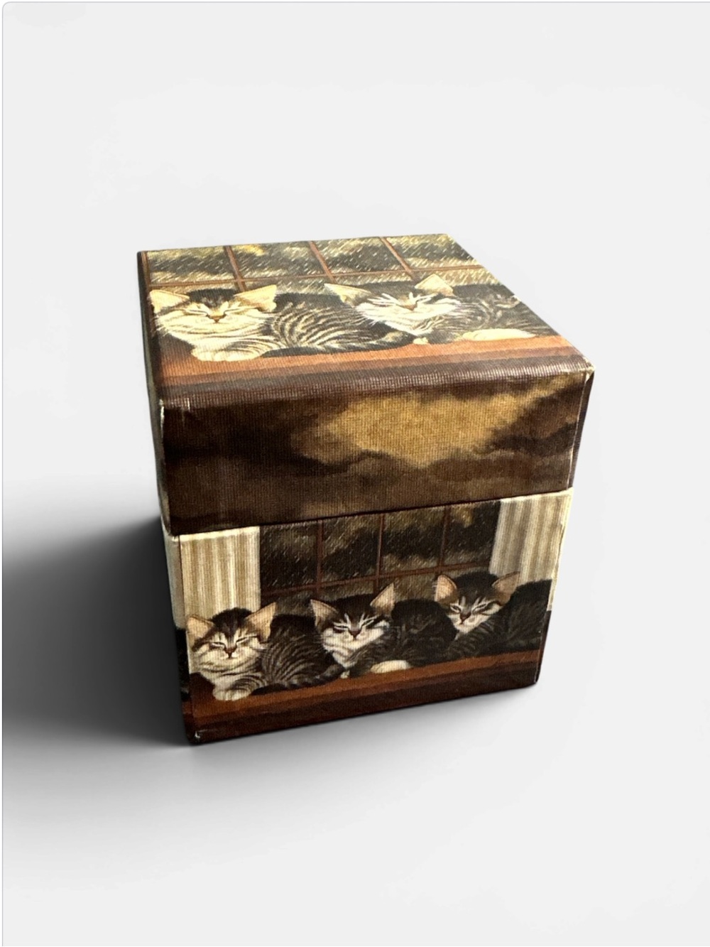 Cat themed trinket box decor sturdy cardboard 3.25 X 3.25